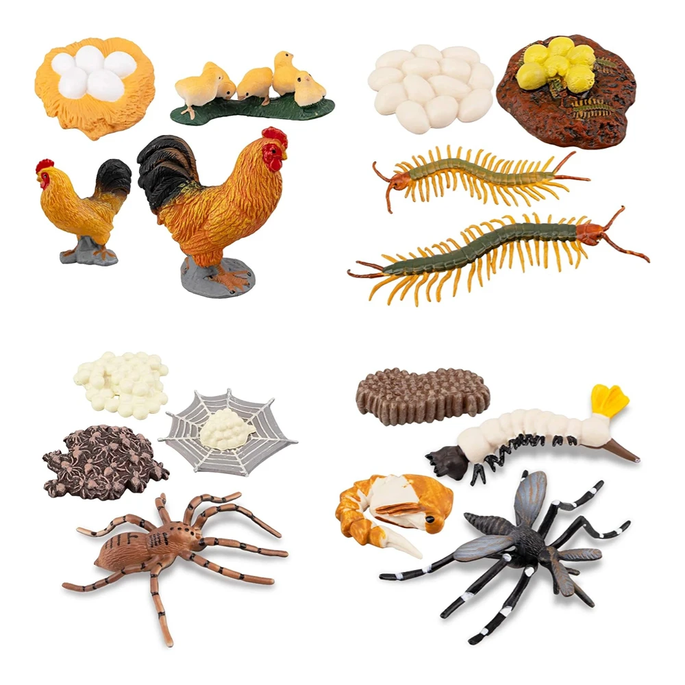 

16PCS Life Cycle of Chicken Hen Centipede Spider Mosquito Farm Animals Figure, Plastic Food Chain Animal Figurines Toy