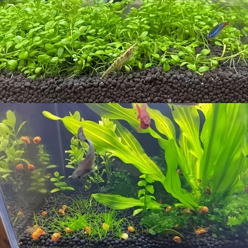 Thumbnail 3 - #43 Ranked Aquarium Decor Picks in 2026