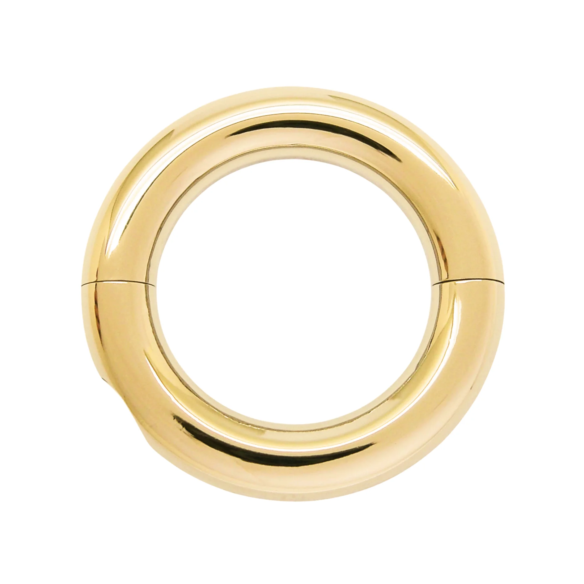 Screw Segment Ring for Man Body Piercing Jewelry Gold Stainless Steel Circular Piercing Accessory