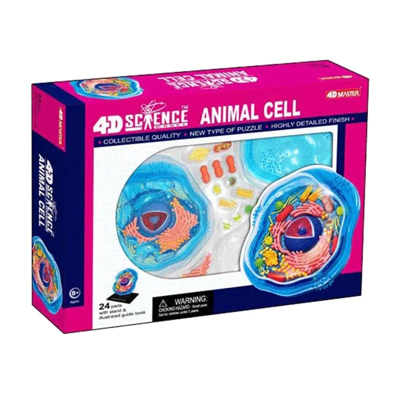 4D MASTER Biology Animal Cells Organ Anatomical Model  Medical Teaching  Puzzled Toys