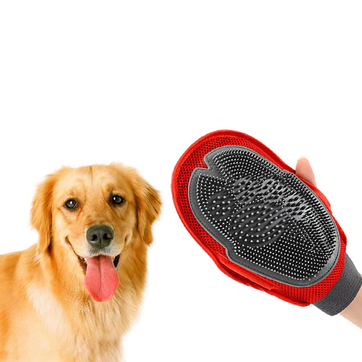 Thumbnail 4 - #2 Latest Dog Bathing Brushes Updates