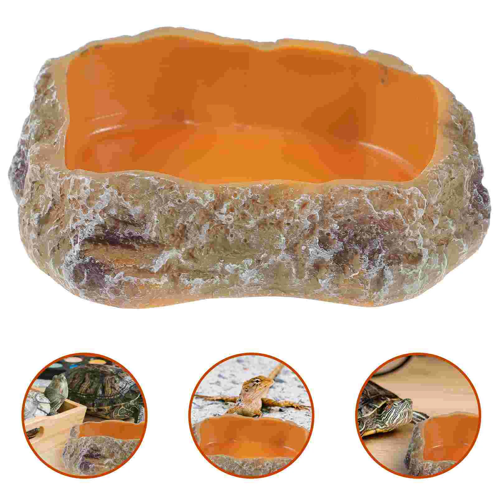 Feeding Supplies Decorative Reptile Dish Food Water Bowl Amphibia Terrariums Holder Tray