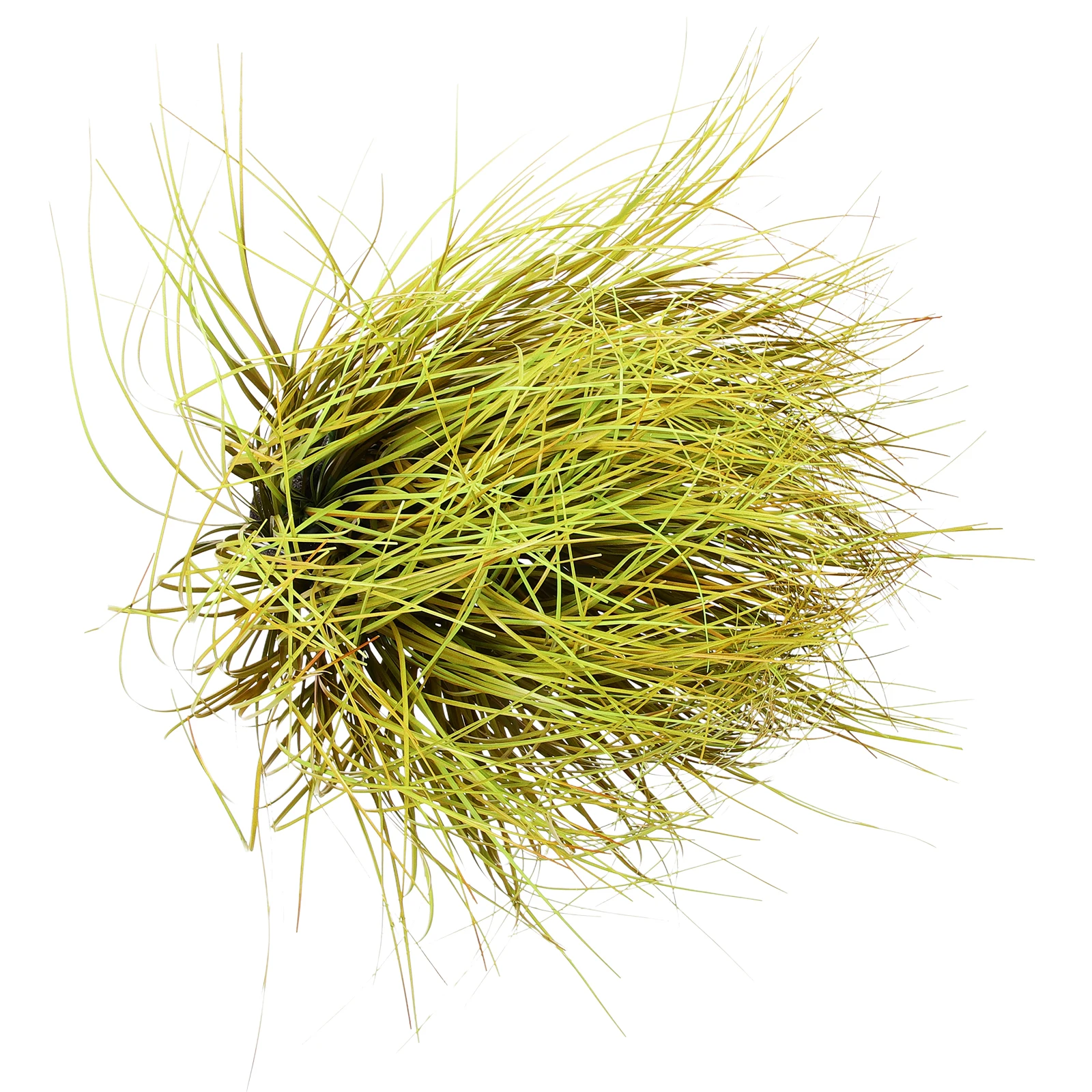 

Simulated Cattail Decoration Grass Tuft Model Making Supplies for Diorama Sand Table Micro Landscape Miniature Terrain