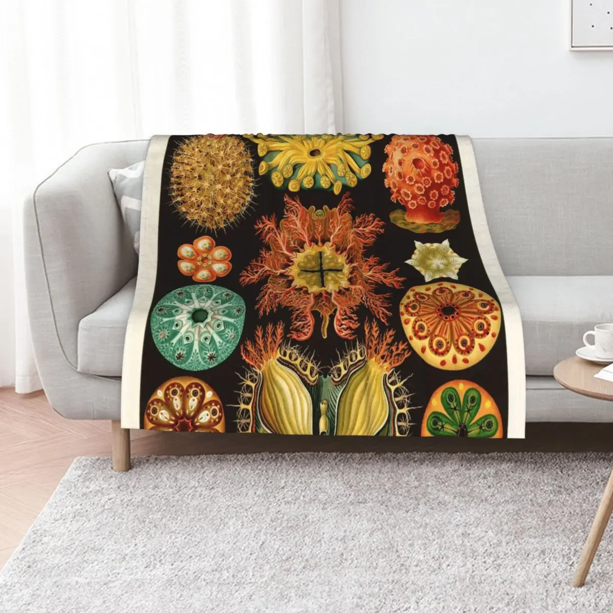

Ernst Haeckel - Ascidiae (Sea Squirts) - Vintage Botanical illustration Throw Blanket For Baby Heavy Giant Sofa Blankets