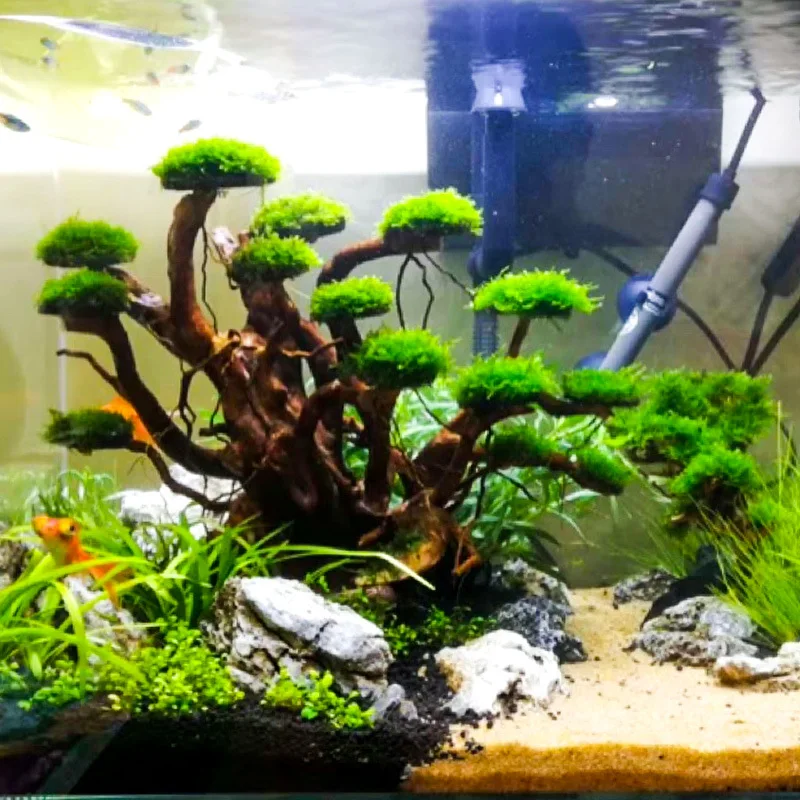 Aquarium Landscaping Moss Tree Skeleton Finished Driftwood Rhododendron Root Ornament Aquascape Decoration