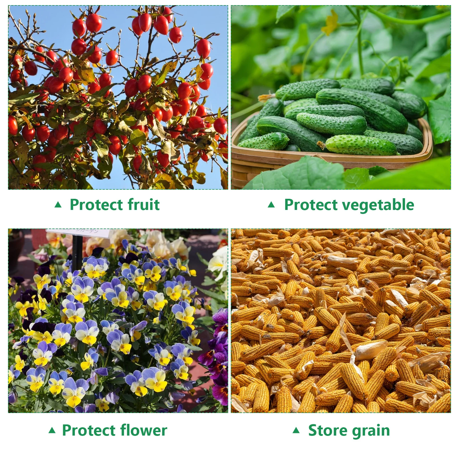 3 pçs planta rede respirável pe malha cobre com cordão para cordão planta cobre jardim legumes frutas arbustos