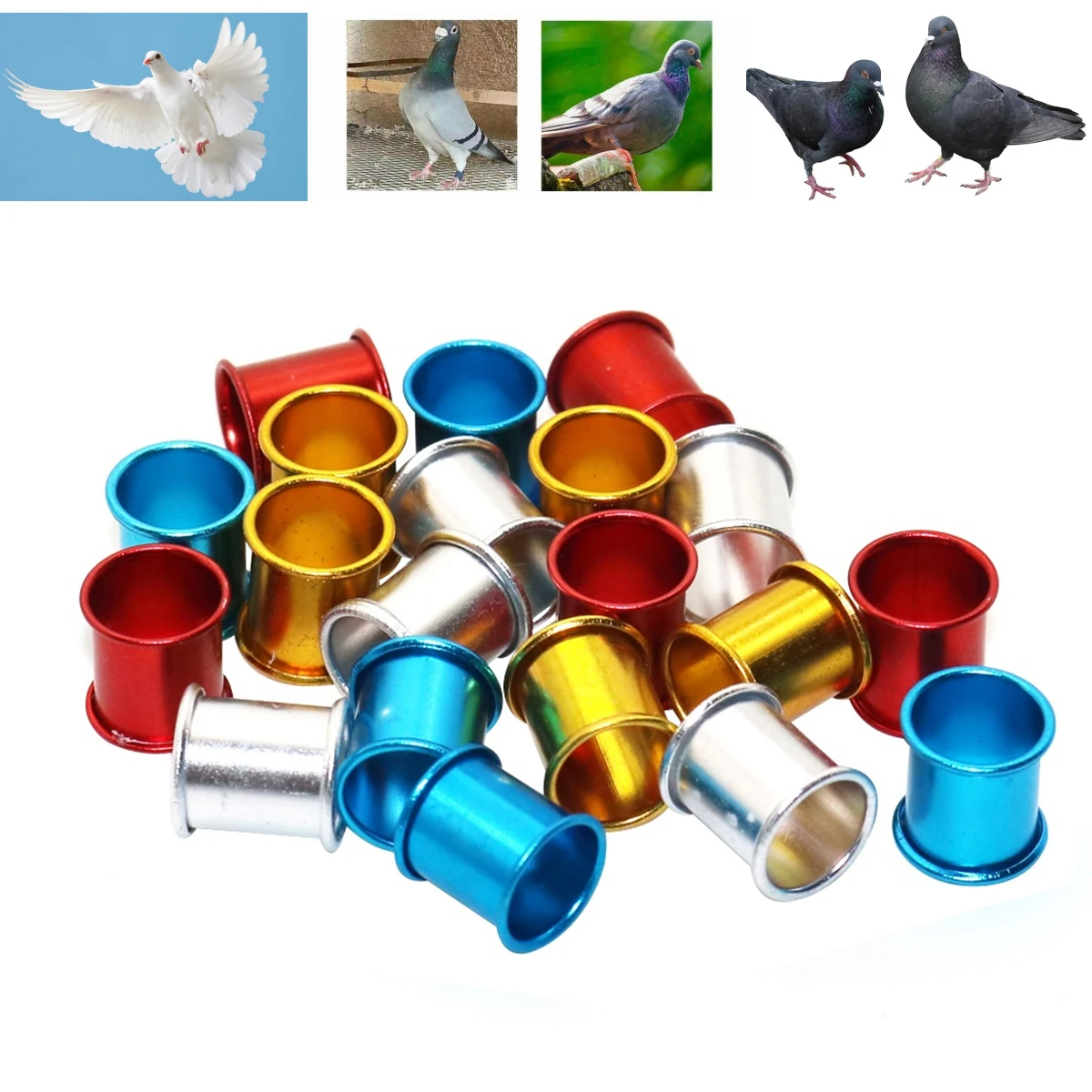 

Inner Diameter 8mm Aluminum Pigeon Identification Foot Rings Without Words 4 Colors Homing Pigeon Mynah Bird Foot Tags 1000Pcs