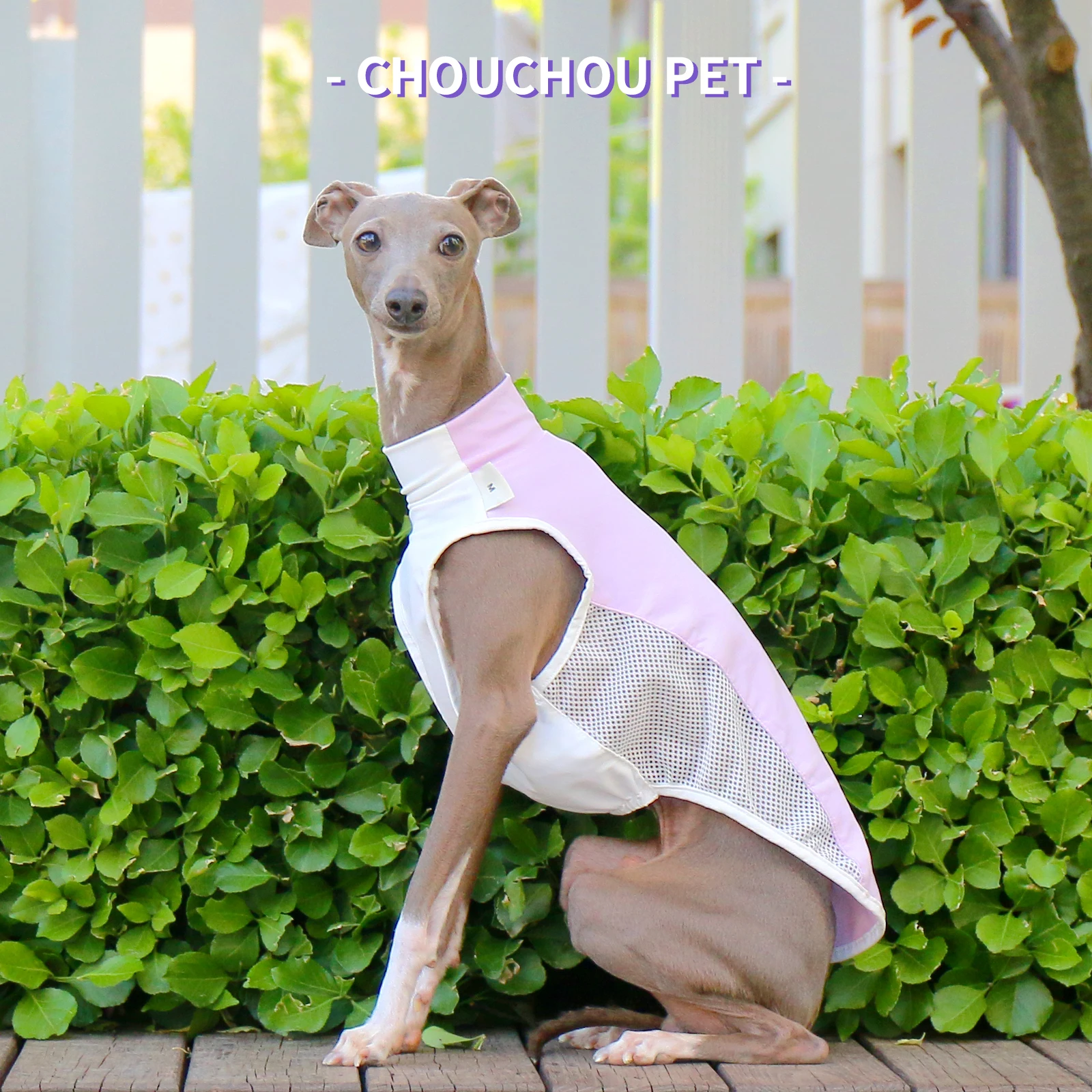 Thumbnail 4 - #13 Trending Dog Coats Right Now