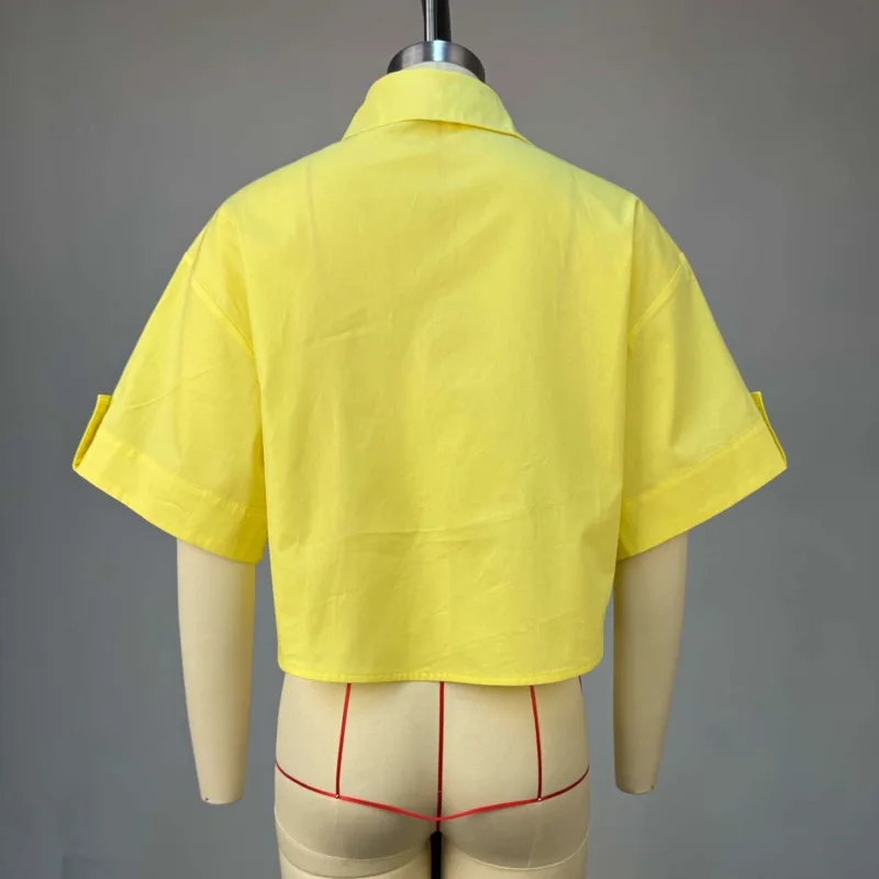 HKSH Wiosna Lato Nowa Damska Koszula z Kołnierzykiem, Zapinana na Guziki, z Kieszeniami, Uniwersalna Krótka Bluzka, Eleganckie Codzienne Top HK17241