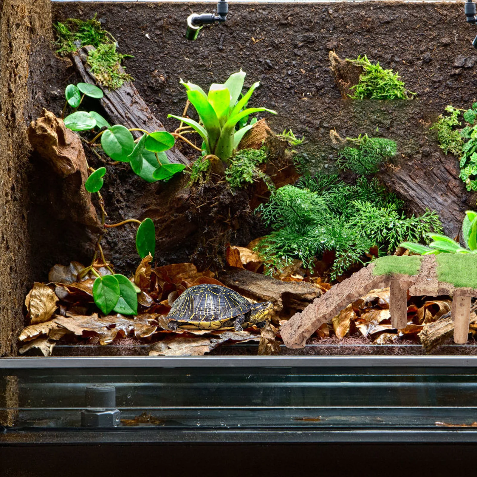 

Turtle Basking Platform Resin Made Non-Toxic Stable Resting Spot for Aquatic Turtles Reptile Exercise Habitat Decor