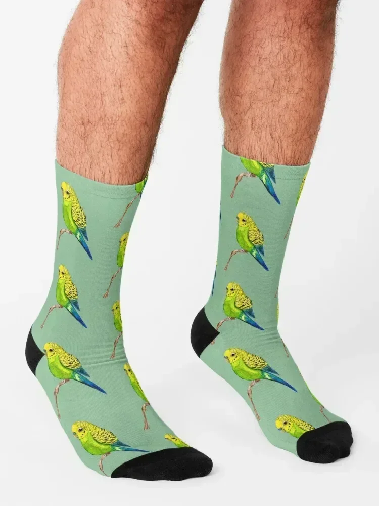 Cute green budgie Socks kawaii professional running compression short Man Socks Women's