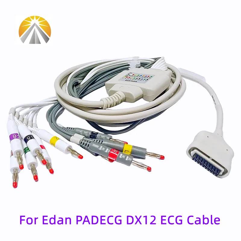 

20 Pin Holter Cable For Edan DX12 PADECG 12 Leadwires ECG Cables IEC Banana 4.0 Wireless PC EKG Device