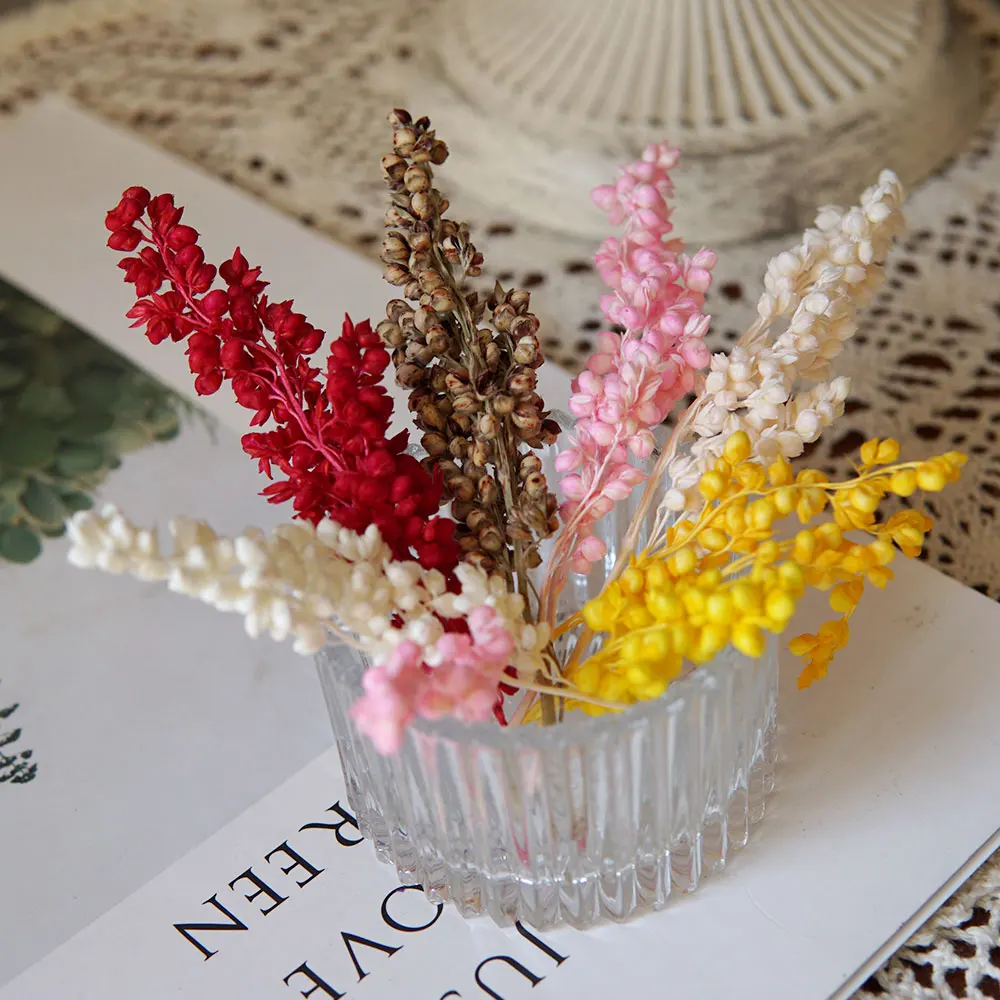 True Plant Dyeing Big Broomcorn Nature Dried Fruits Handmade Crafts Materials Resin Aromatherapy Candles Material