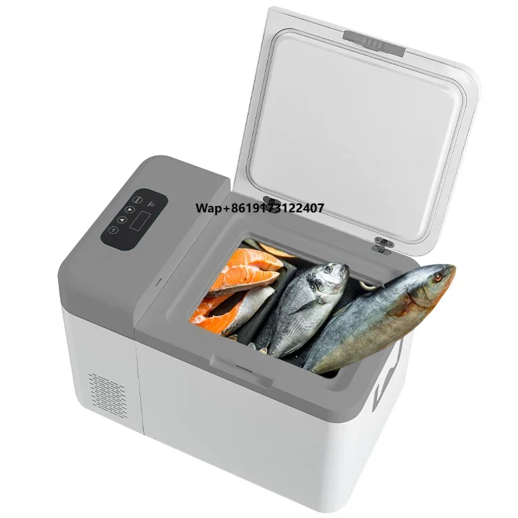 

12v -45 Degree Portable Ultra Low Temperature Freezer Small Refrigerator for Car