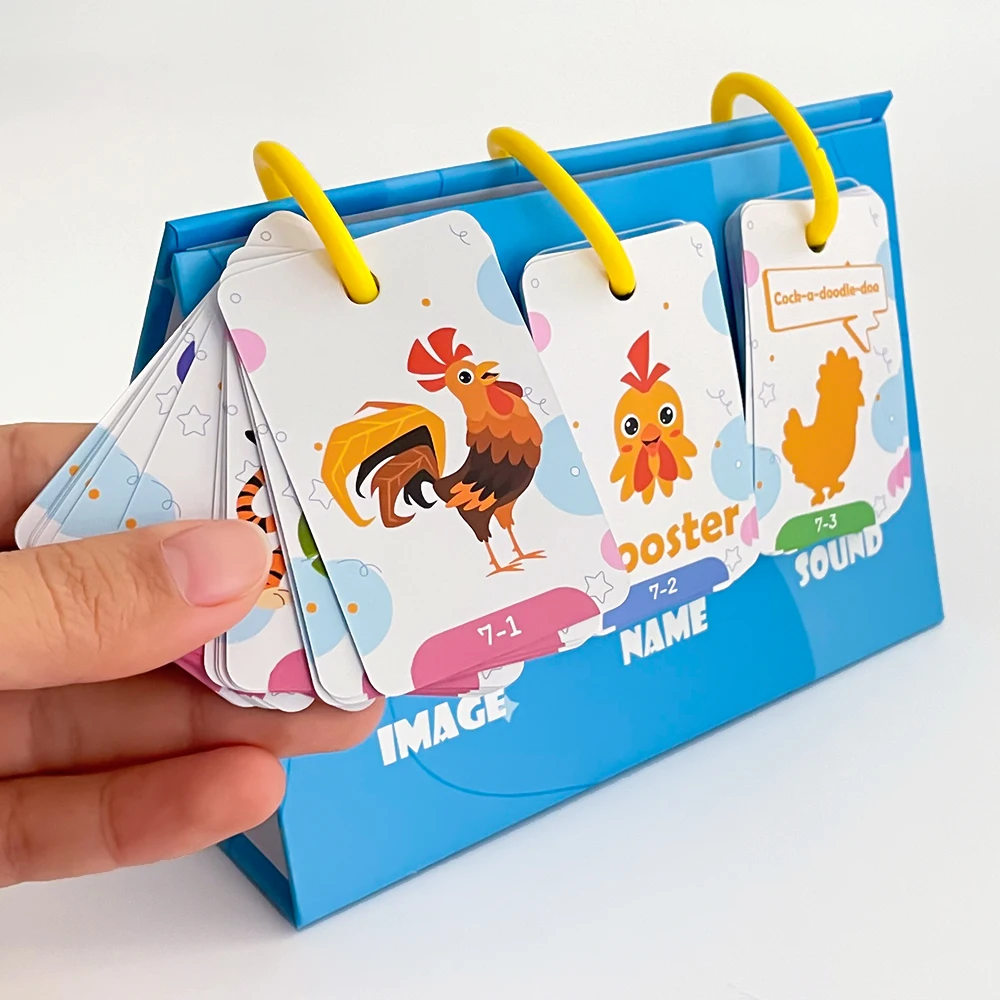 72 Carte Flash per Bambini per - Kids Education Words recensione e prezzo