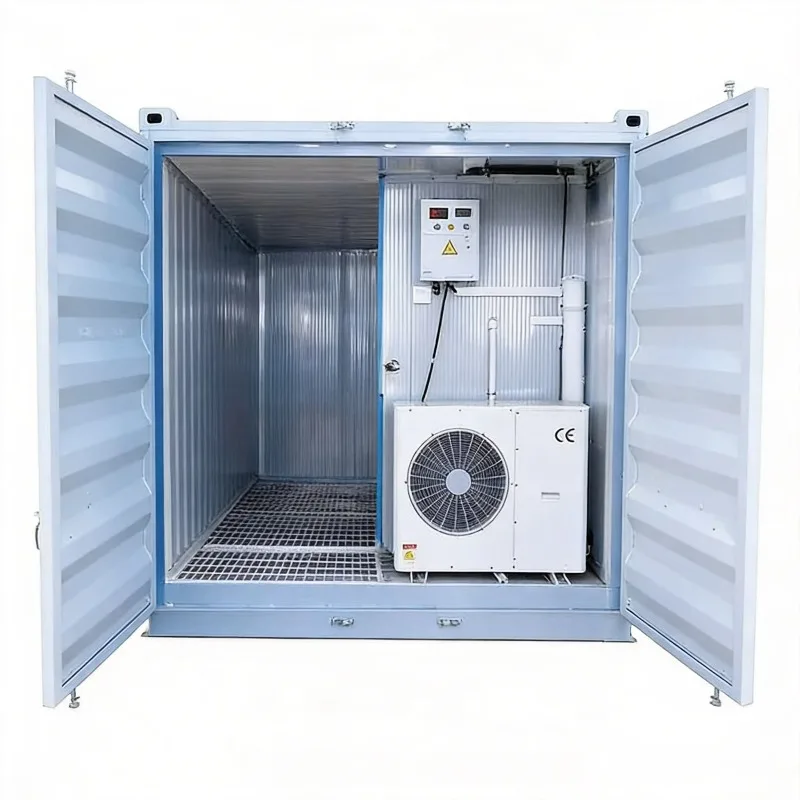 20ft 40ft Mobile Container Cold Room Solar Powered Walk-In Freezer Seafood Custom