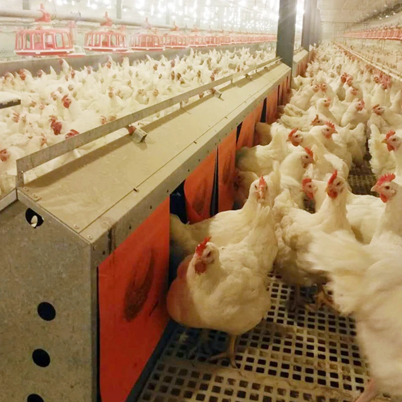 

2025High Quality Automatic Egg Incubator for Chicken & Bird Breeding 220V Motor PP & PC Material for Farm 220V Motor New Product
