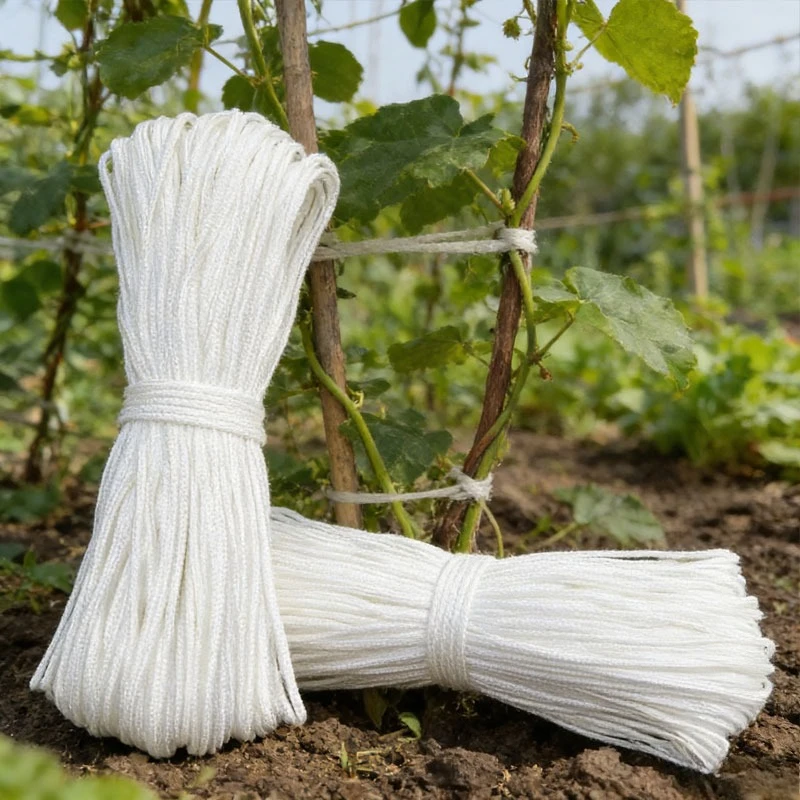 

Белая страховочная веревка 100 м, прочная, для флагштоков, бельевых веревок, кемпинга, палаток, каноэ, работ на деревьях, многофункциональная