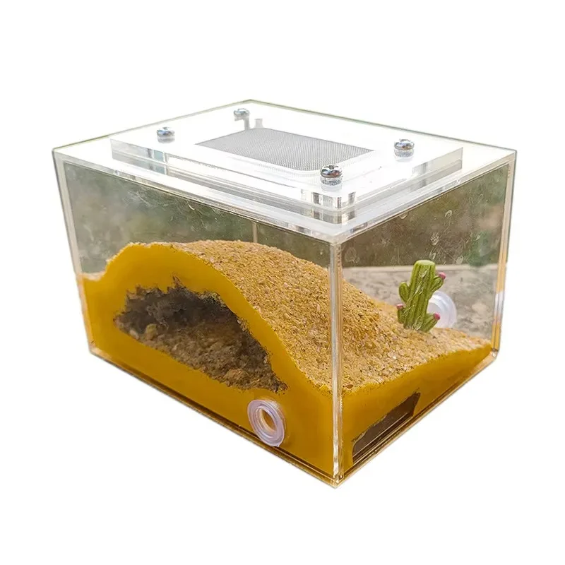

DIY Mini Original Ecological Plaster Hormiguero Ant Nest for Pet Ant Castle Workshop Home