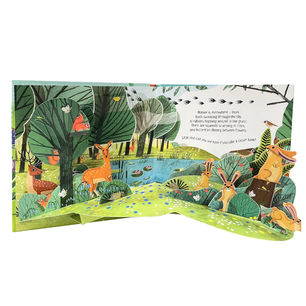 Natureza usborne pop-up inglês 3d aleta imagem livro crianças leitura bebê aprender inglês língua livros para crianças montessori brinquedos