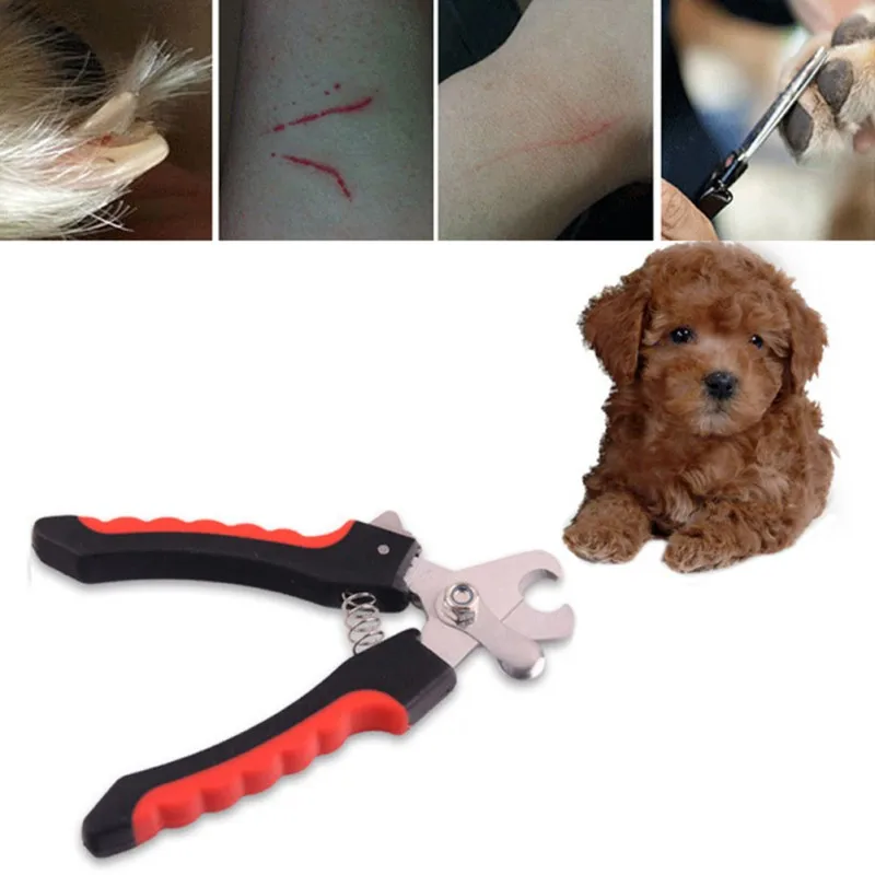 

Dog Nail Trimmer With File Durable Metal Pet Claw Scissors Puppy Grooming And Cleaning Kit Avoid Pet Scratching Tools