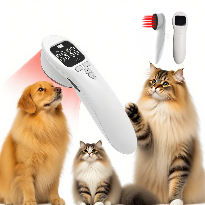 

Laser Therapy Device for Large Dog Elbow Dysplasia Care