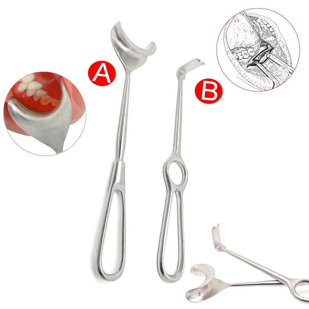 Maxillofacial Soft Tissue Retractor with Upper and Lower Bends for Dental Implant and Oral Surgery