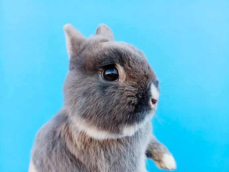 

Комплект металлических шасси, соединительных и тяговых стержней, креплений амортизаторов и сервоприводов WPL C64 C64-1 для радиоуправляемых моделей 1/16: запчасти и аксессуары для тюнинга