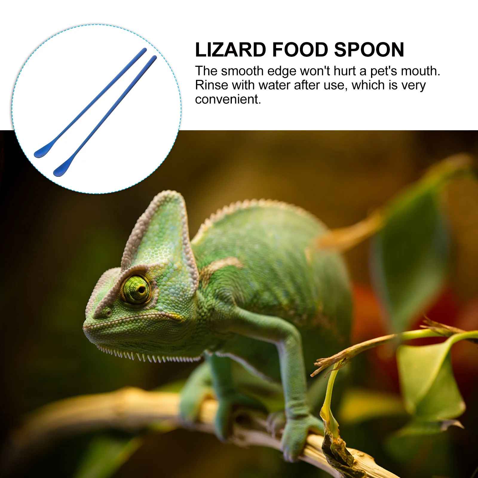 2 Buah Sendok Makan Reptil Gagang Panjang Alat Makan Stainless Steel untuk Kadal Gecko Sendok Pencampur Makanan Basah Perlengkapan Hewan Peliharaan