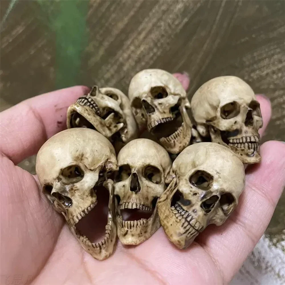 Figurine de tête de squelette réaliste imprimée en 3D à l'échelle 1:6 - Décoration artisanale de collection pour aquarium, maison et accessoires