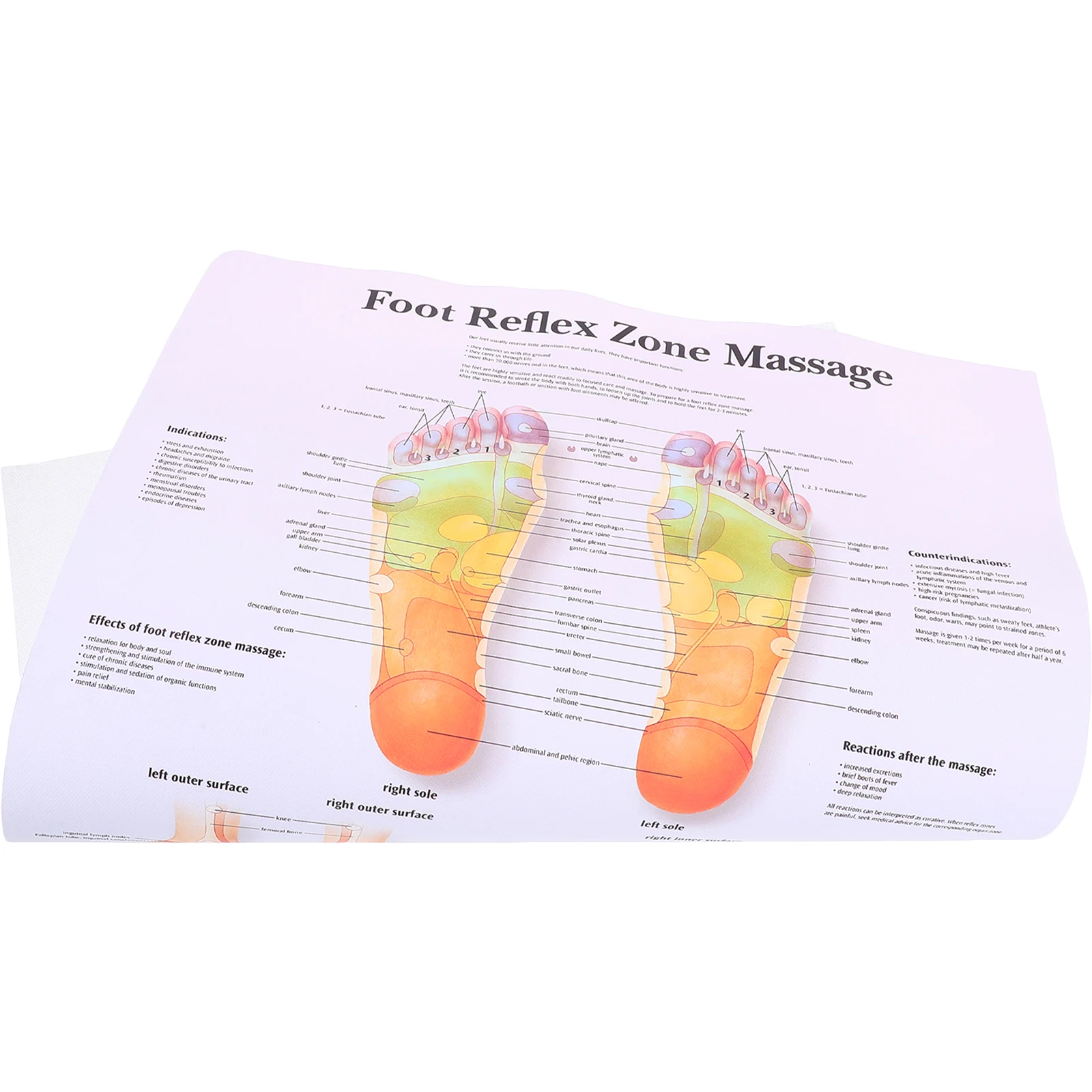 Foot Reflexology Chart Poster For Professionals Medical Teaching Tool Foot Massage Wall Art Office Home Decor 60X90Cm