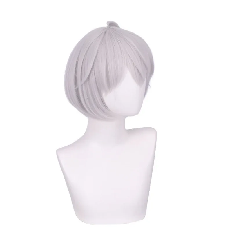 Parrucca Tokyo Revengers Rebirth Path Kizuna Akatsuki Parrucca Bob grigio argento Parrucca cosplay anime