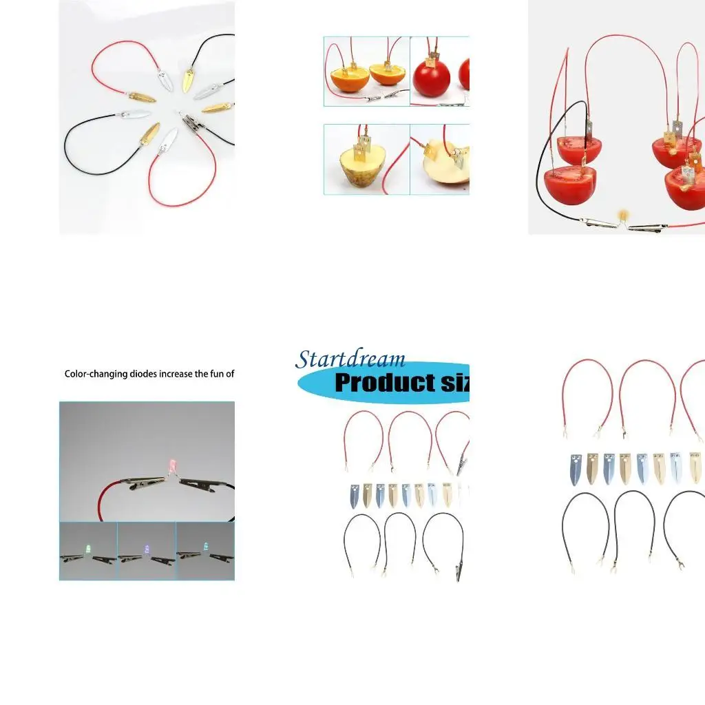 

Educational Fruit Power Generation Experiment Set for Kid Aged 7-14 K92C
