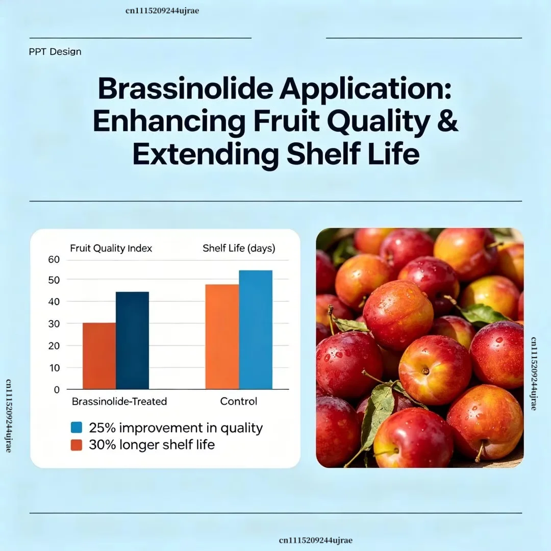 Brassinolide Plant Growth Regulator Foliar Organic Fertilizer