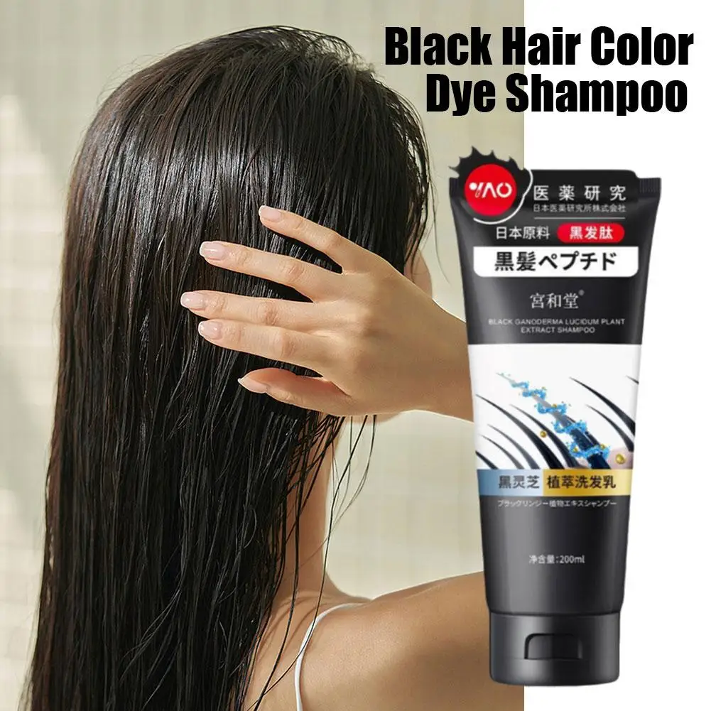 Herbal Hair Dye Shampoo para mulheres, cor do cabelo preto, ativar o tratamento do folículo capilar, S6Q3, 200g