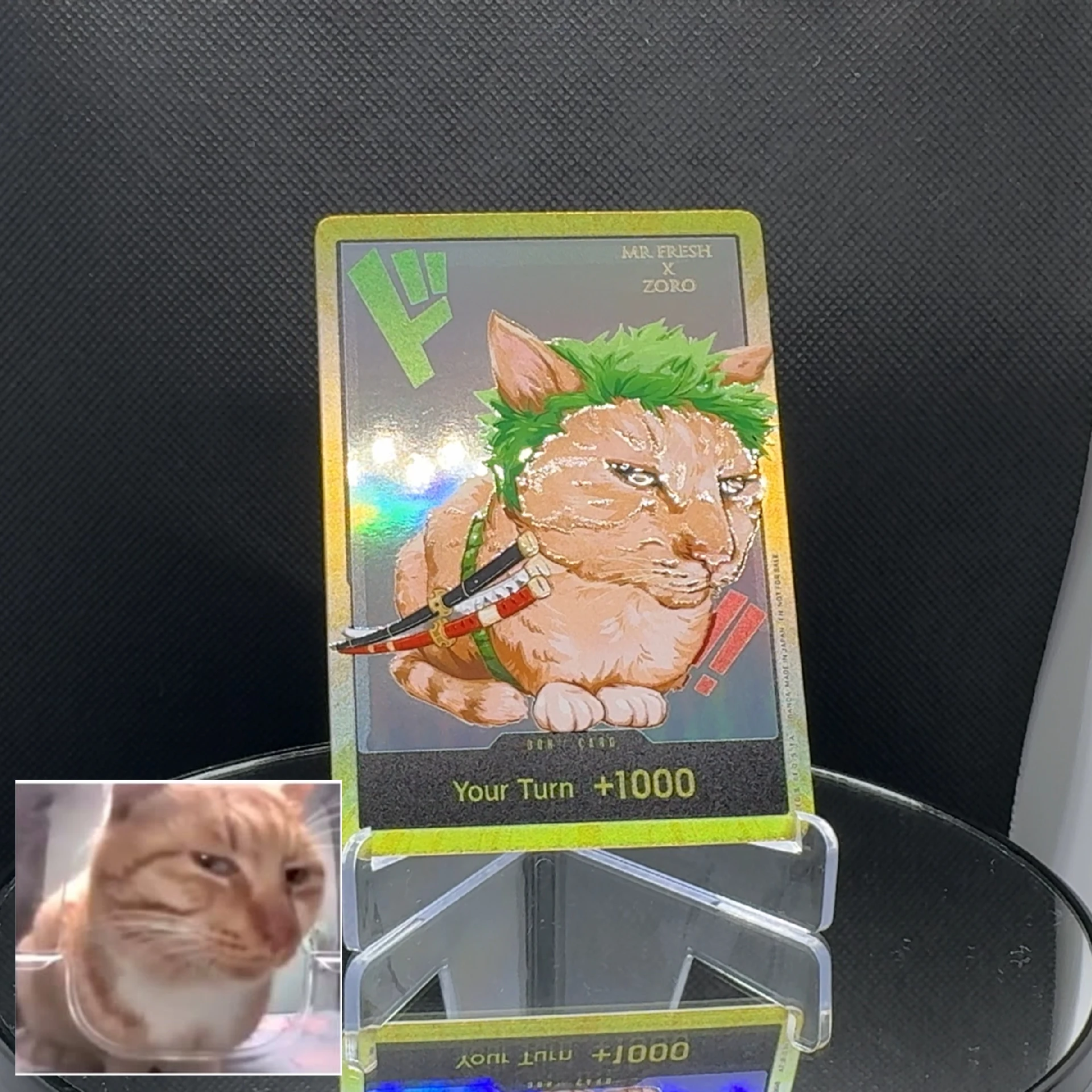 One Piece TCG OPCG Inglese DON card Cat Rufy Zoro Sanji Chopper Robin Franky Ace Buggy Doflamingo Law Proxy fatto in casa Don Card