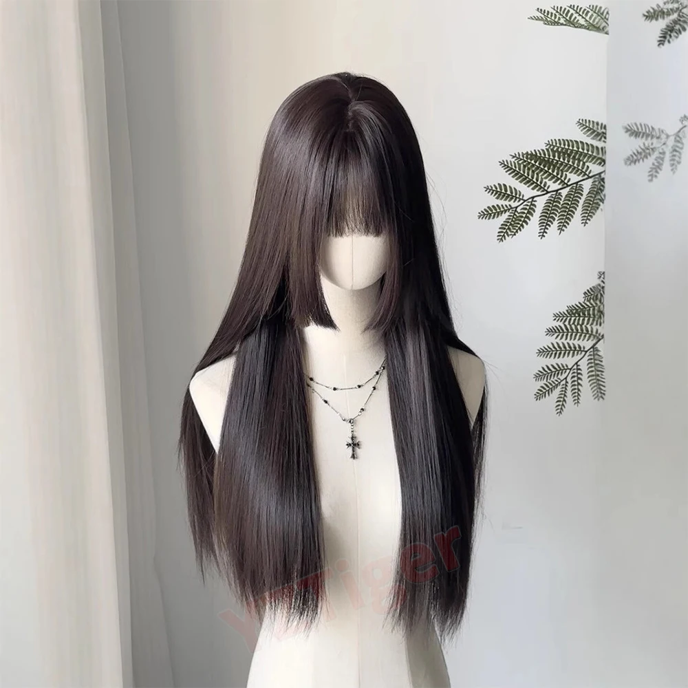Black Long Straight Wig with Hime Cut Bangs for Women Heat Resistant Synthetic Hair Natural Wig for Daily Lolita Anime Cosplay