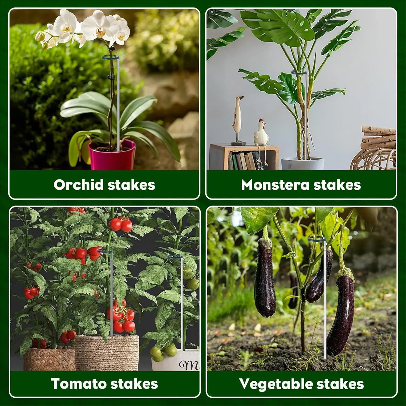 

Plant Stakes Extendable Garden Orchid Sticks 4 Pieces Weather Resistant Indoor Outdoor Gardening Accessories For Flowers