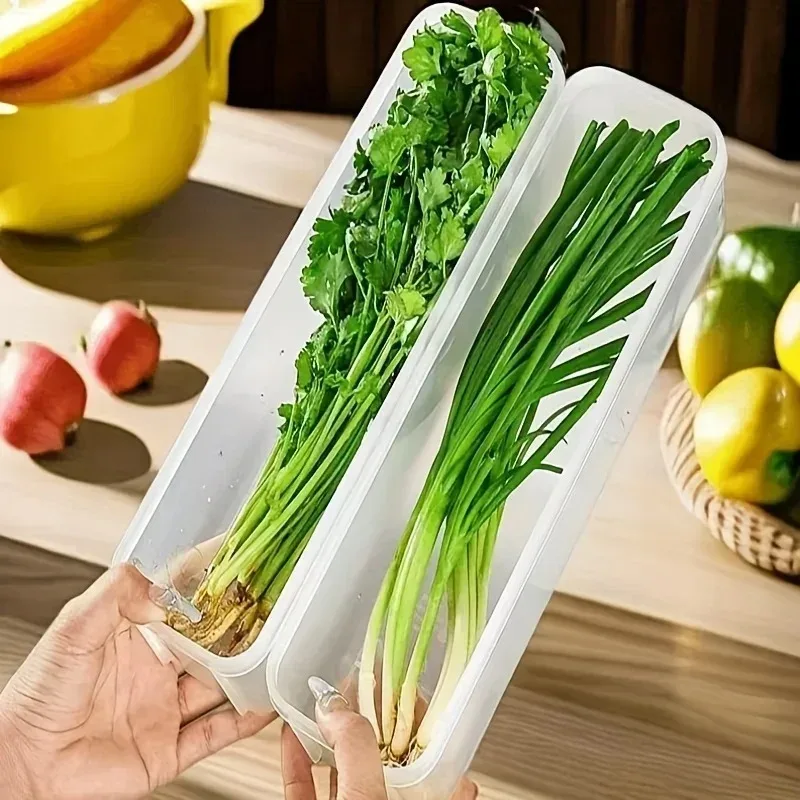 Caja de conservación de Cilantro y cebollino, fideos de calidad alimentaria, huevos, preparación de vegetales, cebollas, frutas, refrigerador, caja de almacenamiento