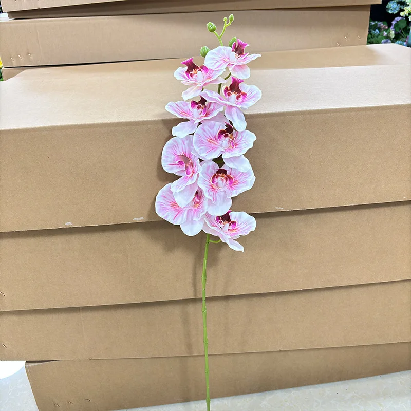 فرع زهرة فالاينوبسيس الاصطناعي بطباعة ثلاثية الأبعاد نبات الأوركيد ذو اللمس الحقيقي لتزيين حفلات الزفاف والمنزل
