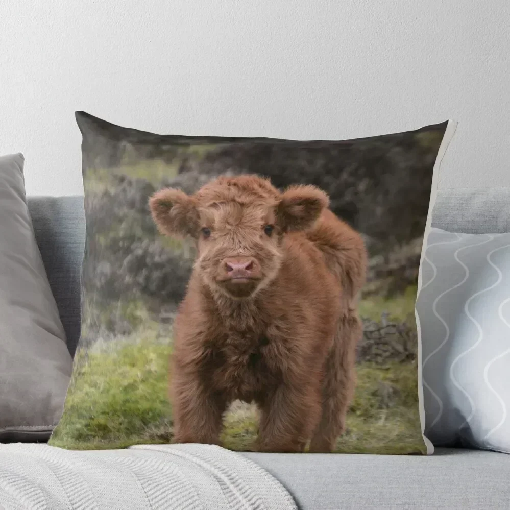 

Highland calf Throw Pillow Decorative Sofa Cushion Couch Pillows Cushion Covers For Living Room Sofa Decorative Covers pillow