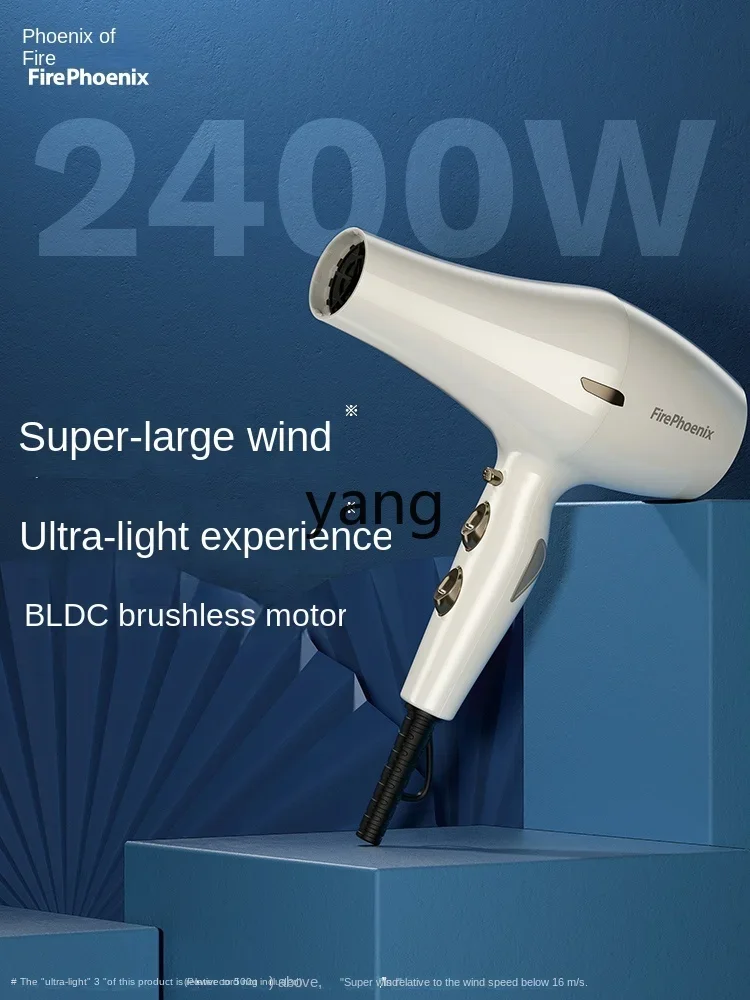 L'm'm High-Power Barber Shop Hair Stylist Household Hair Dryer