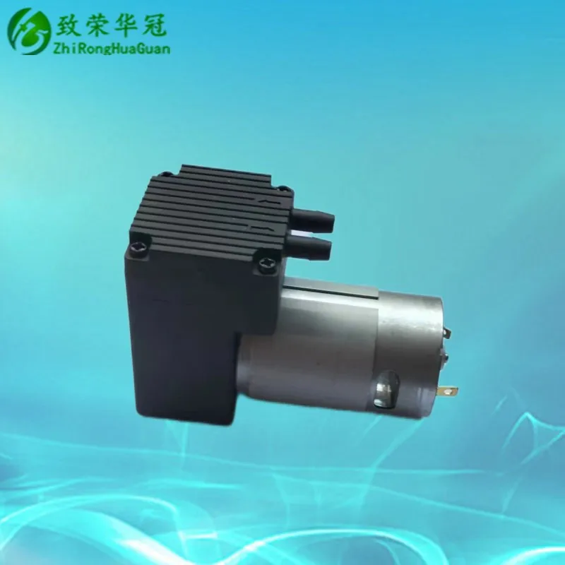 Micro DC Vacuum Pump 12V Diaphragm Pump 24V Micro Air Pump with large flow and high pressure