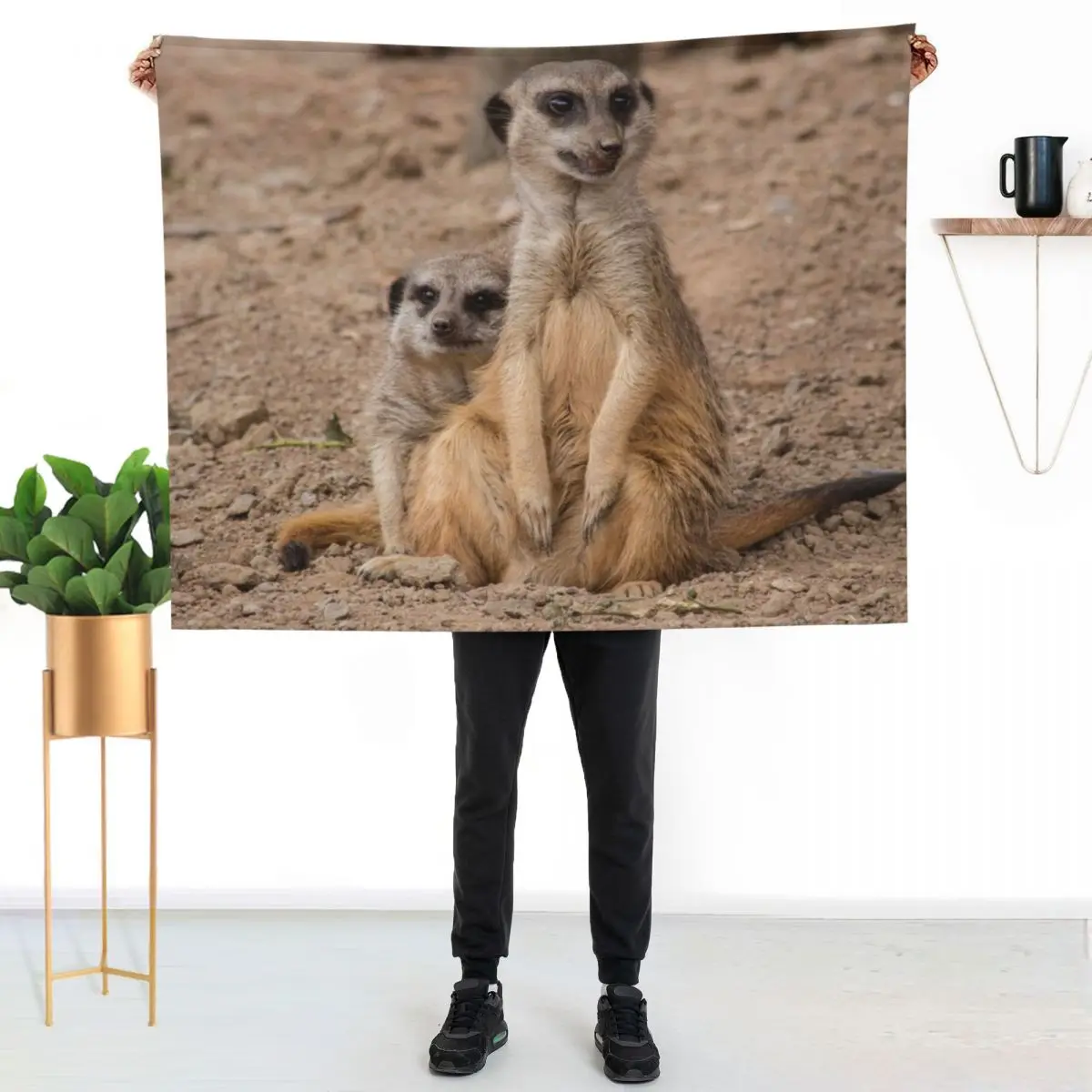 African animals Male and Female Meerkats Throw Blanket Soft Beds Bed Fashionable blankets ands Hair Thermal Bed covers Blankets