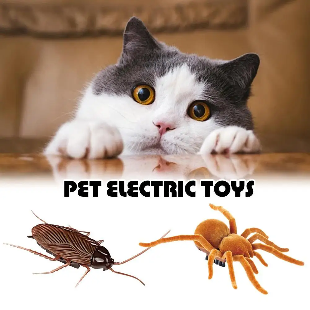 Pet Interactive Electric Cockroach Spider Cat Toy Battery Operated Vibration Pet Insect Playing Toy Joke Gifts