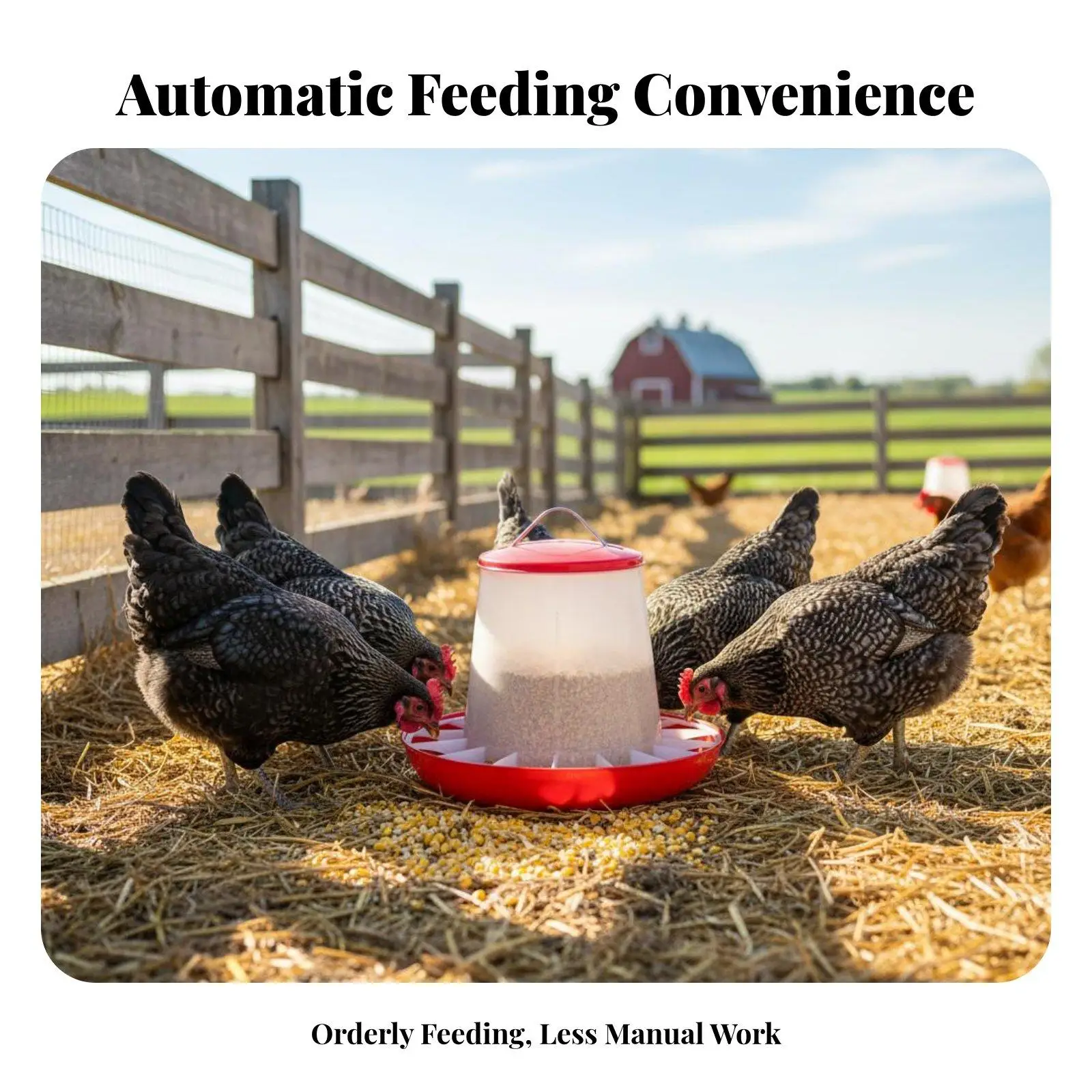Plastic Chicken Feeder Hanging Bucket Automatic Poultry Dispenser for Hens Durable Farm Supplies with Lid Easy Clean