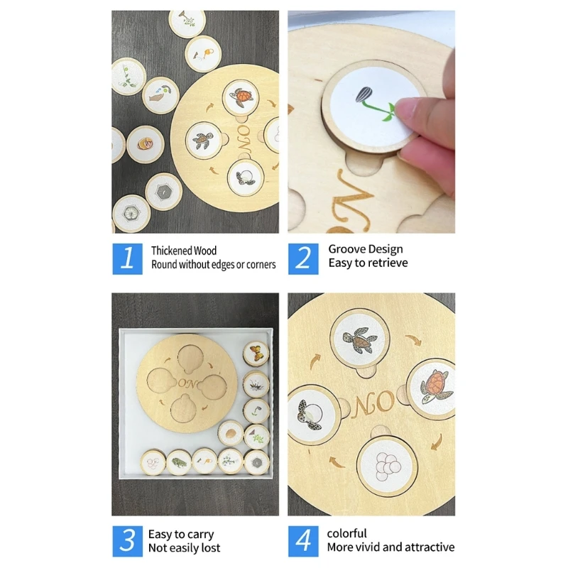 لعبة ألغاز دورة نمو الحياة البيولوجية، لوحة تعليمية لرياض الأطفال 15UB