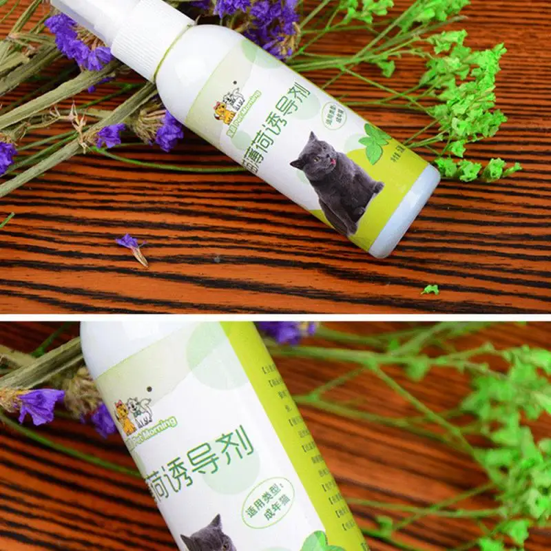 1Pcs Natural Catnip Spray Food Grade Liquid Cat Mint Pet Training Non-toxic Safe Cat Toys Healthy Soothing Cat Induction Spray