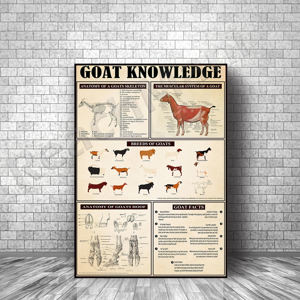goat knowledge frameless poster farmhouse gift, goat lover gift, funny goat poster, goat lover wall art