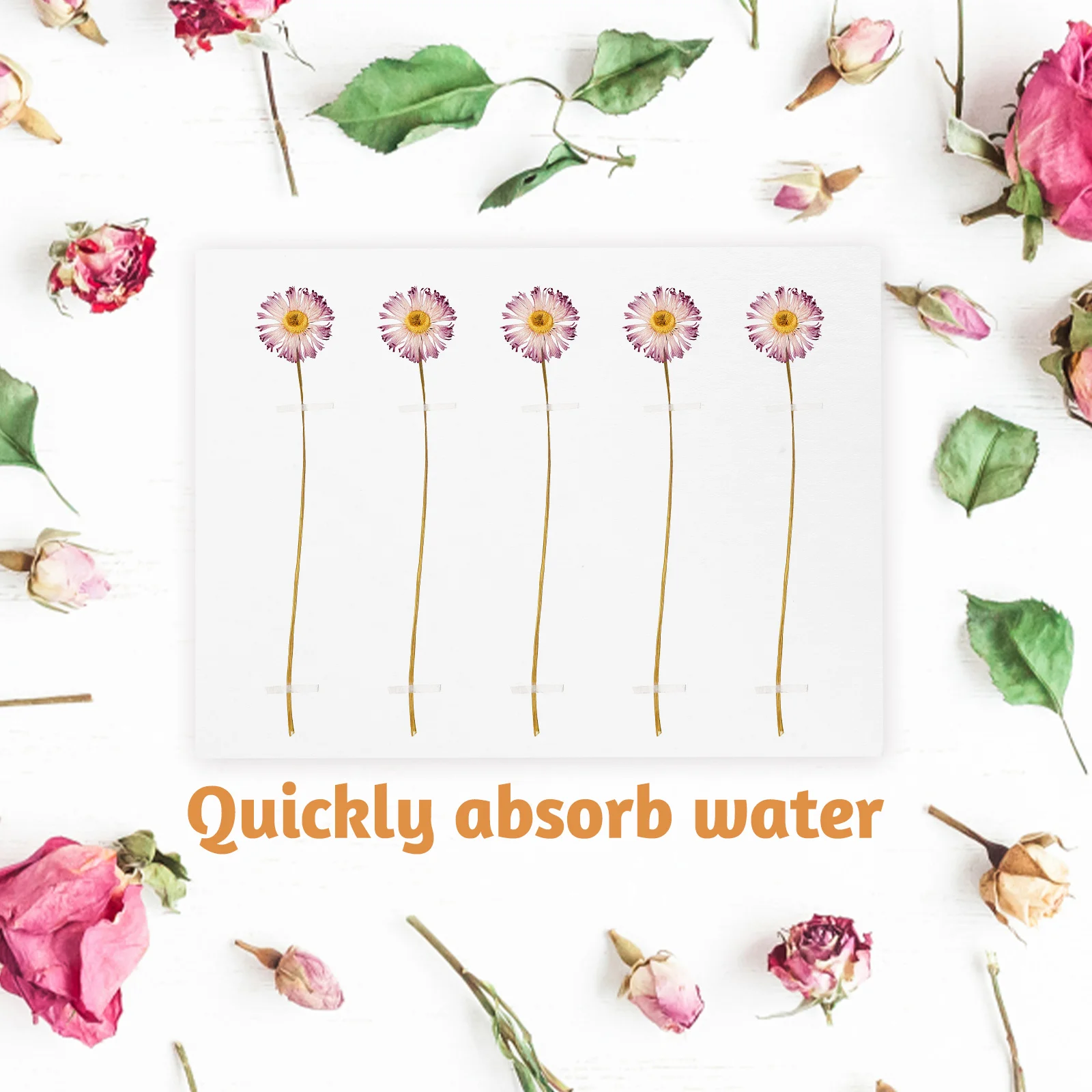 

6Pcs Reusable Flower Press Board Absorbent Paper Durable Dried Flower Press Tool for Craft Decoration Herbarium Making